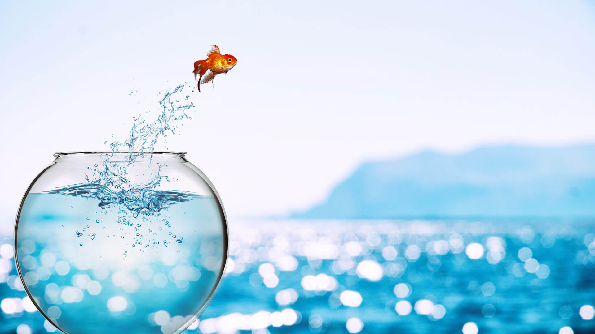 Expert-comptable Paris (1, 2, 3, 11, 12 et 20)